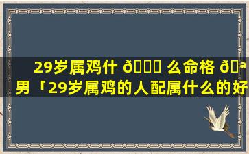 29岁属鸡什 🐟 么命格 🪴 男「29岁属鸡的人配属什么的好」
